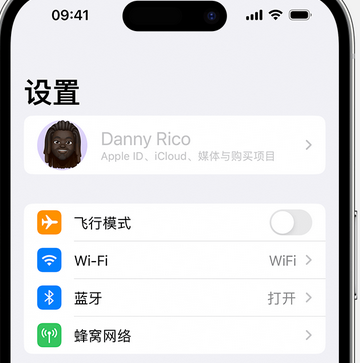 汕头appleID维修服务iPhone设置中Apple ID显示为灰色无法使用 