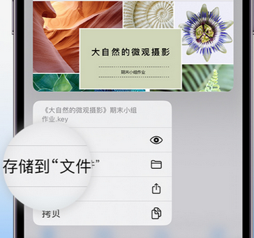 汕头apple维修中心分享iPhone文件应用中存储和找到下载文件