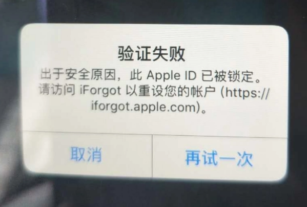 汕头iPhone维修分享iPhone上正常登录或使用AppleID怎么办 