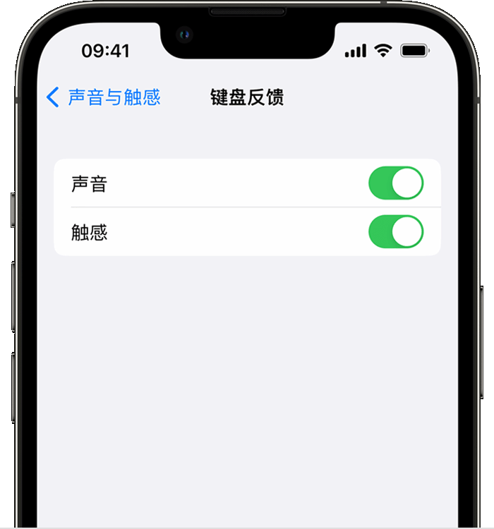 汕头苹果14维修店分享如何在 iPhone 14 机型中使用触感键盘 