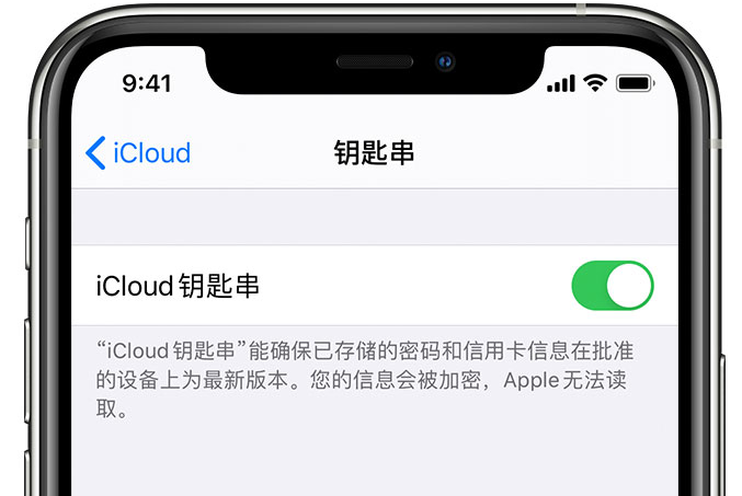 汕头苹果手机维修分享在 iPhone 上开启 iCloud 钥匙串之后会储存哪些信息 