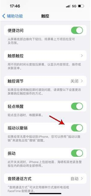 汕头苹果手机维修分享iPhone手机如何设置摇一摇删除文字 