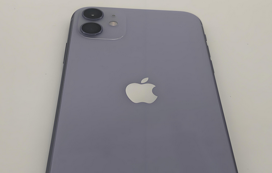 汕头苹果11系统维修分享iPhone11手机系统崩溃无法开机如何解决